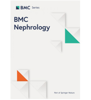 Оценка химического состава камней в почках с помощью двухэнергетической КТ у пациентов с подагрой Южного Китая