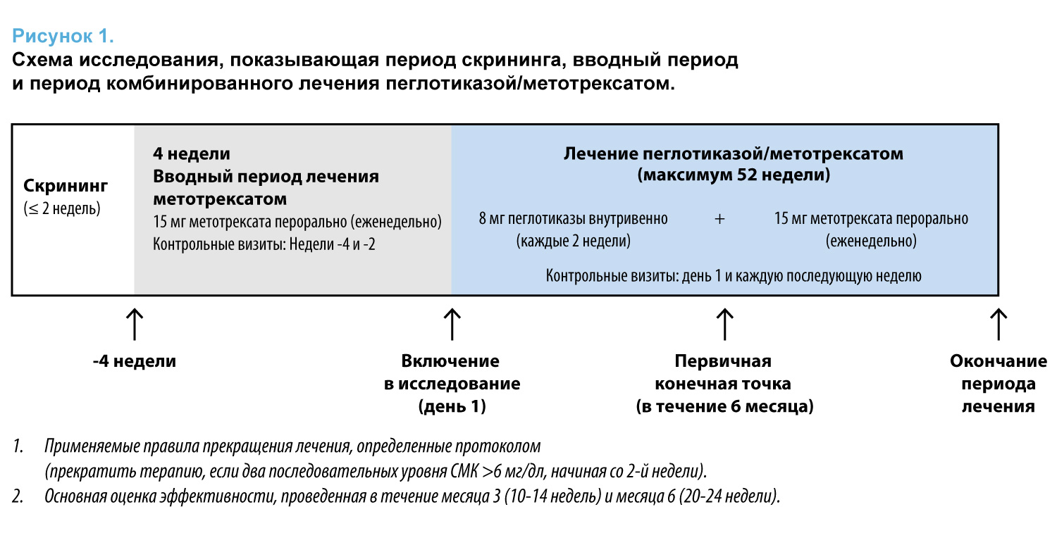 Схема рандомизированного плацебо контролируемого экспериментального полевого исследования