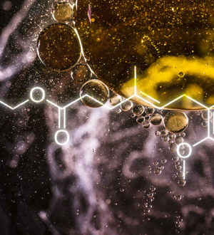 <strong>Микофенолата мофетил при системной красной волчанке: наш 20-летний опыт</strong>