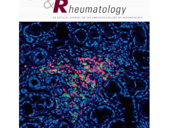 Снижение веса у пациентов с подагрой и сопутствующим ожирением: рандомизированное исследование, подтверждающее концепцию